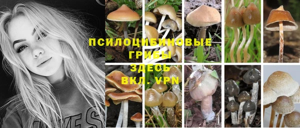 каннабис Алексеевка