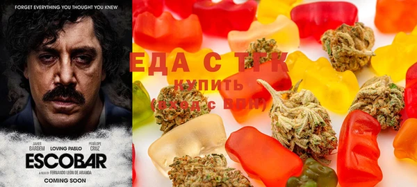 тгк Алзамай