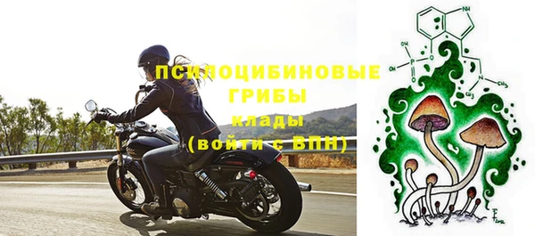 каннабис Алексеевка